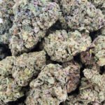 Buy Cannabis Near Me Valencia. With its high THC levels, this strain delivers a powerful cerebral buzz that uplifts mood and induces a sense of creativity.