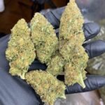 Buy Cannabis Near Me In Dublin. Strawberry Banana produces happy, peaceful effects that sharpen creativity and sensory awareness.