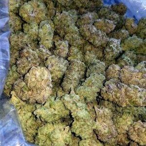 Buy Cannabis Online Near Me Palma. This potent indica-dominant hybrid is renowned for delivering heavy-handed euphoria and relaxation with every puff.
