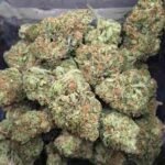 Buy Weed Near Belgium. This fast-flowering has a sweet fruity and citrus aroma, and patients typically choose it for daytime relief of stress and tension.