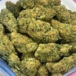 Buy Cannabis Near Me In Hamburg. True to its sativa roots, Durban Poison delivers a rush of cerebral euphoria that lifts the mood without clouding the mind.