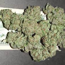 Buy Cannabis Near Stuttgart. Its a sweetly potent outdoor from Dutch breeder Sensi whose presence will bring a taste of the Caribbean to cannabis consumers.