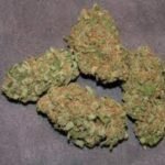 Buy Cannabis Near Me Valladolid. This hybrid has some great balanced effects to both lift your mood and provide some strong body relaxation.