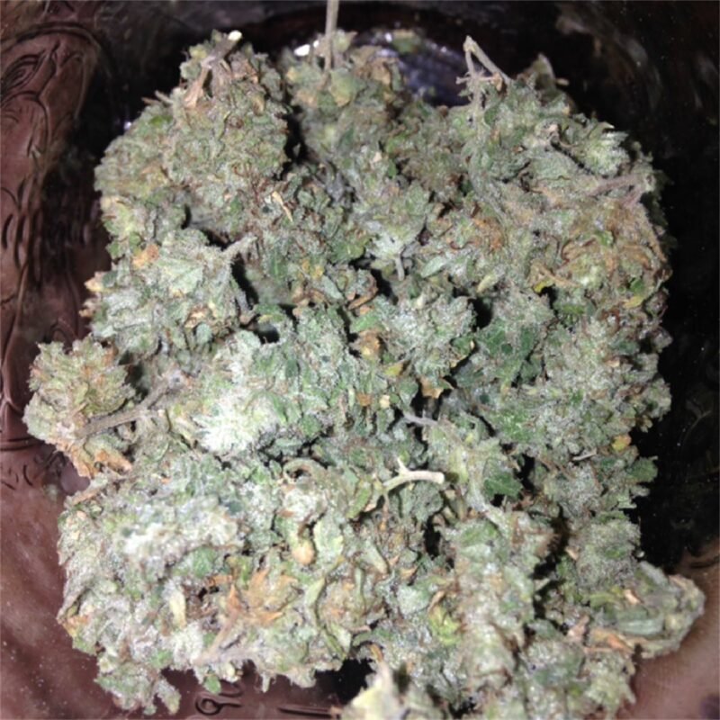 Buy Cannabis In Galway. Medical marijuana patients choose this strain to help relieve symptoms associated with pain, insomnia and appetite loss.