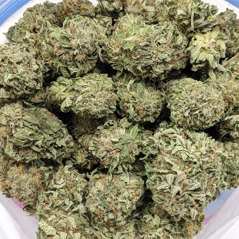 Cannabis Store Online Spain. This strain produces a balanced high, along with effects such as cerebral stimulation and full-body relaxation.