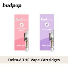 Buy THC Cartridges Online In Europe. With 800mg of Delta-8 THC and natural terpenes, these carts are the pinnacle of modern cannabis convenience!