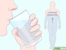 Tips on How To Pass A Drug Test. Drink 3-4 glasses of water the morning of your test. · Pee at least twice before providing a urine sample.