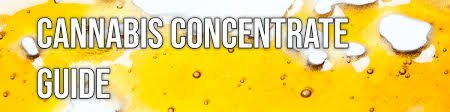 A Detailed Guide on Concentrates Europe. Each guide offers a targeted overview of the main subjects and cases, revision hints, and guidance.