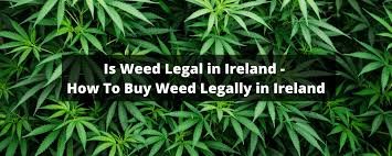 Buy Cannabis Online Ireland. We are Ireland's top cannabis clinics, offering medical cannabis care from knowledgeable professionals.