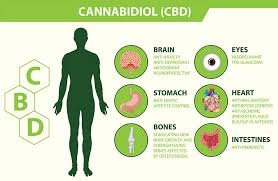 CBD as a Tool for Mental Health. CBD may help ease symptoms of anxiety heart health issues and pain among other health conditions. 