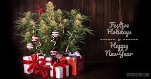 Cannabis Present Ideas for Holidays. Make a personalized basket with a variety of weed treats, like as food, rolling papers and accessories.