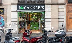 Tour Weed Stores Europe. Numerous cannabis-friendly locations in Europe provide tours that show tourists around clubs and weed dispensaries.