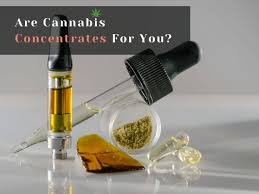 Buy Concentrates Europe. Yes, our products contain molecules that are legal in France and Europe as long as the THC does not exceed 0.3%.