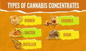 Step by step Guide on Concentrates. Describing how various forms of concentrate differ in potency, consumption, equipment, and safety.