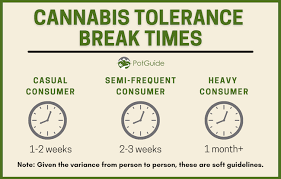 Tips for a Successful T-Break Europe. In order to help your body regain equilibrium, you stop cannabis for an amount of time during a T-Break.