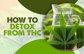 How To Pass A Weed Drug Test. This article reveals various products such as Toxin Rid and methods usually picked for the THС detox to pass.